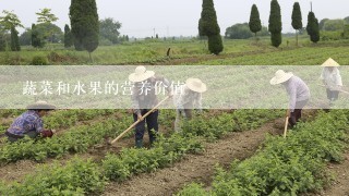 蔬菜和水果的营养价值