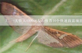 一天收入1000元左右推荐10个快速致富项目？