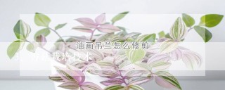 香菇栽培技术