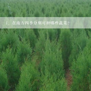 在南方四季分别可种哪些蔬菜？