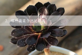 哪些蔬菜含钙比较高