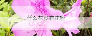 家常炒菜菜谱大全