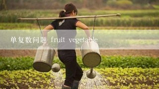 单复数问题 fruit vegetable