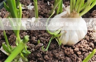 温室蔬菜种植方法,大棚蔬菜栽培实用技术