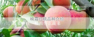 蔬菜沙拉一般用什么蔬菜