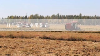 11月吃什么水果季节