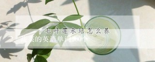 蔬菜的英语单词100个