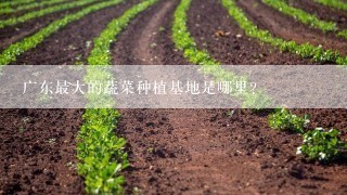 广东最大的蔬菜种植基地是哪里？