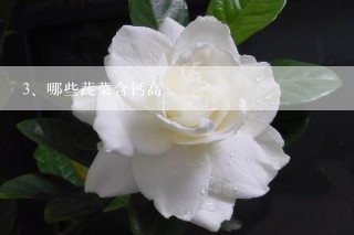 哪些蔬菜含钙高