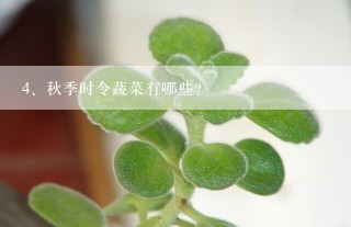 秋季时令蔬菜有哪些?