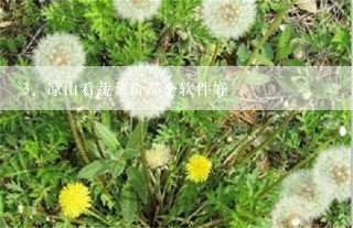 凉山看蔬菜价那个软件好