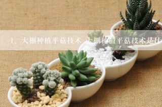 大棚种植平菇技术 大棚种植平菇技术是什么