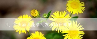 重庆渝北蔬菜批发市场在哪里