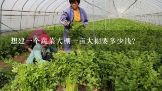 想建一个蔬菜大棚一亩大棚要多少钱？