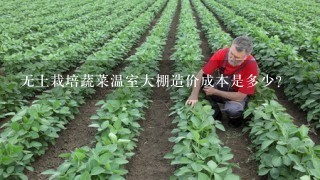 无土栽培蔬菜温室大棚造价成本是多少？