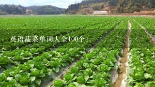 英语蔬菜单词大全100个？