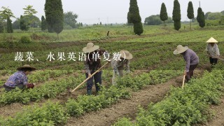 蔬菜、水果英语(单复数)