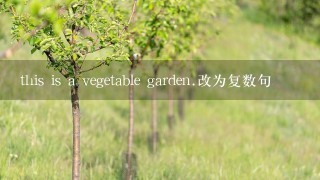 this is a vegetable garden.改为复数句