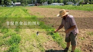 非绿色食品的图片