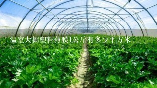 温室大棚塑料薄膜1公斤有多少平方米