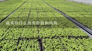 蔬菜有什么营养价值和功效