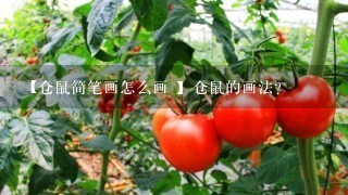 【仓鼠简笔画怎么画 】仓鼠的画法？