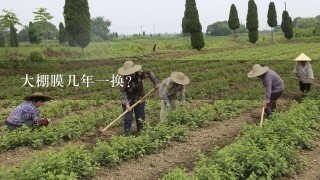 大棚膜几年一换？