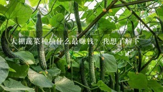 大棚蔬菜种植什么最赚钱？我想了解下