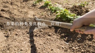 芥菜的种类及其特点、应用？