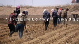 在太空环境搭建太空植物工厂，直接在里面模拟地球环境来无土栽种各类适合的蔬菜