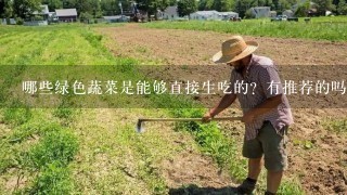 哪些绿色蔬菜是能够直接生吃的？有推荐的吗？