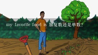 my favorite food is 加复数还是单数？