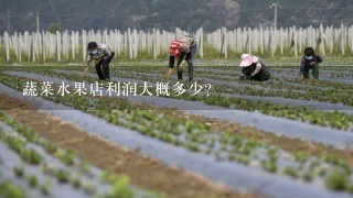 蔬菜水果店利润大概多少？