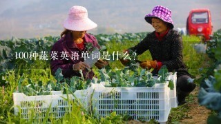 100种蔬菜英语单词是什么？