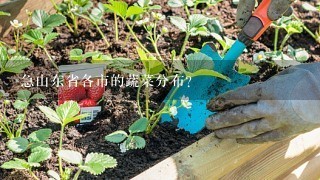 急山东省各市的蔬菜分布？