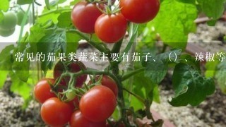 常见的茄果类蔬菜主要有茄子、（）、辣椒等。