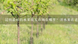 昆明最好的水果批发市场在哪里？开水果店进货要有哪