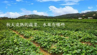 秋天成熟的蔬菜、水果有哪些