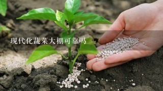 现代化蔬菜大棚可靠吗