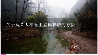 关于蔬菜大棚无土立体栽培的方法