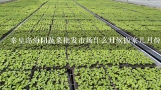 秦皇岛海阳蔬菜批发市场什么时候搬家几月份？