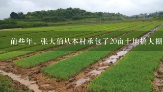 前些年，张大伯从本村承包了20亩土地搞大棚种植，收入5万元；国家土地流