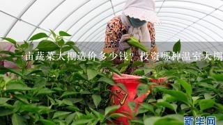 一亩蔬菜大棚造价多少钱？投资哪种温室大棚合适