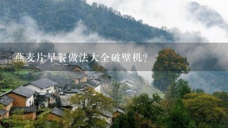 燕麦片早餐做法大全破壁机？