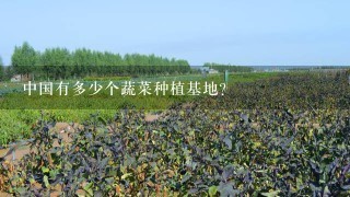 中国有多少个蔬菜种植基地？