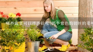 哪些蔬菜可以拌沙拉吃?那个紫色的切丝的菜叫什么名字?