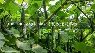 fruit and vegetables 是复数还是单数