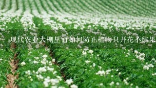 现代农业大棚里面如何防止植物只开花不结果？