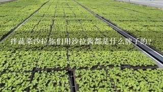 拌蔬菜沙拉你们用沙拉酱都是什么牌子的？