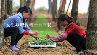 女生减肥食谱一日三餐